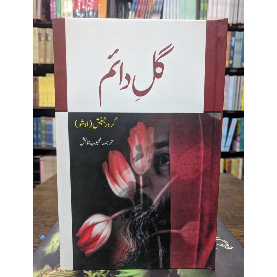 Gul e Daim - گل دائم Gul e Daim - گل دائم