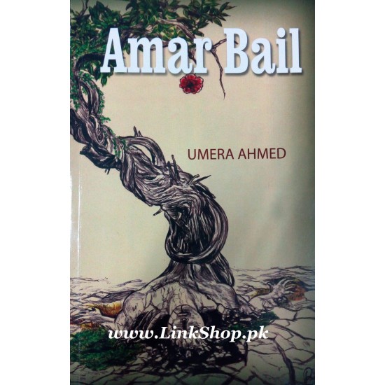 Amar Bail (English Version) Amar Bail (English Version)