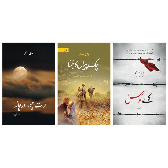 Set of 3 Novels of Balwant Singh Set of 3 Novels of Balwant Singh